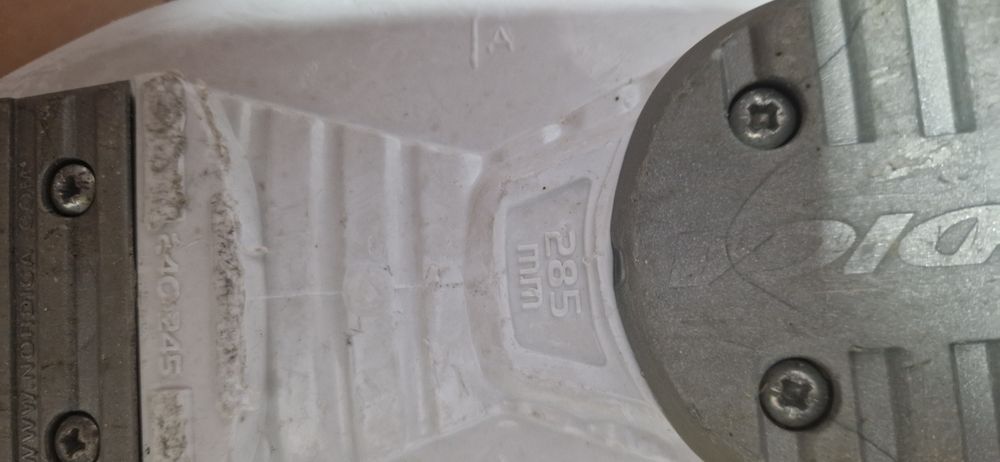 Buty narciarskie Nordica