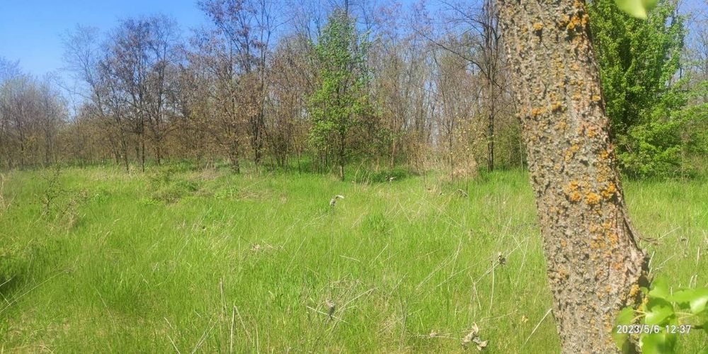 Участок 12 соток