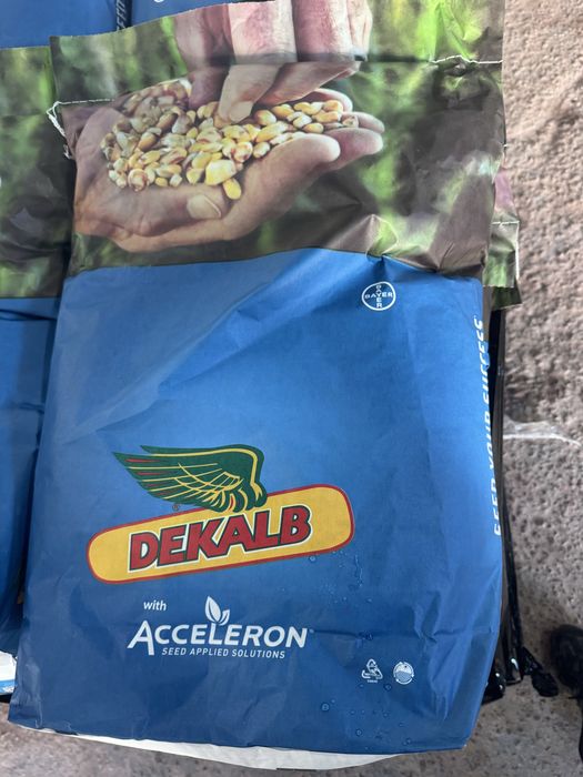 Насінння Кукурудзи Моnsanto,Соняшник Syngenta,Limagrain