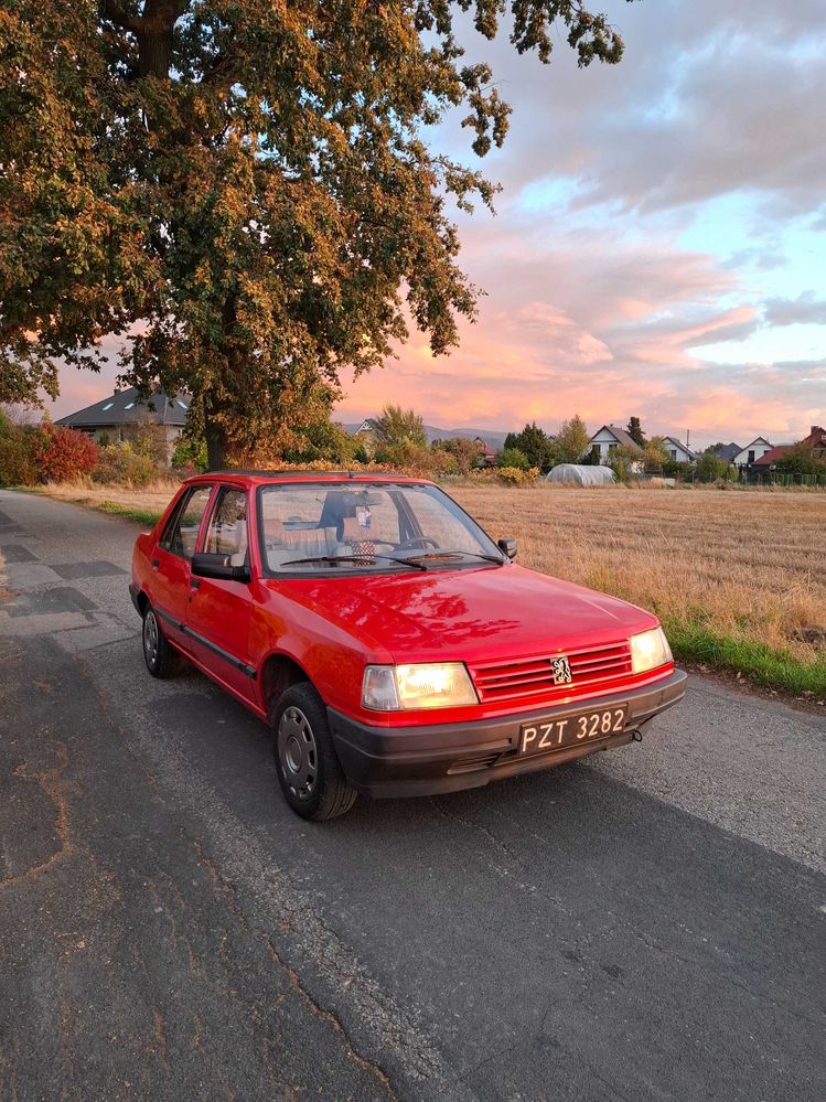 Peugeot 309