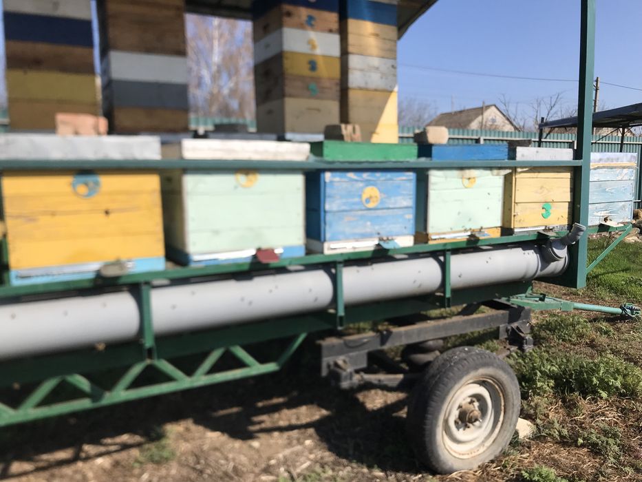 Прицеп для перевозки пчел: 1 700 $ - Другие прицепы Калаглия на Olx