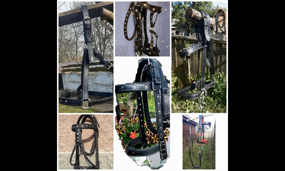 Упряж для коней хама для поні