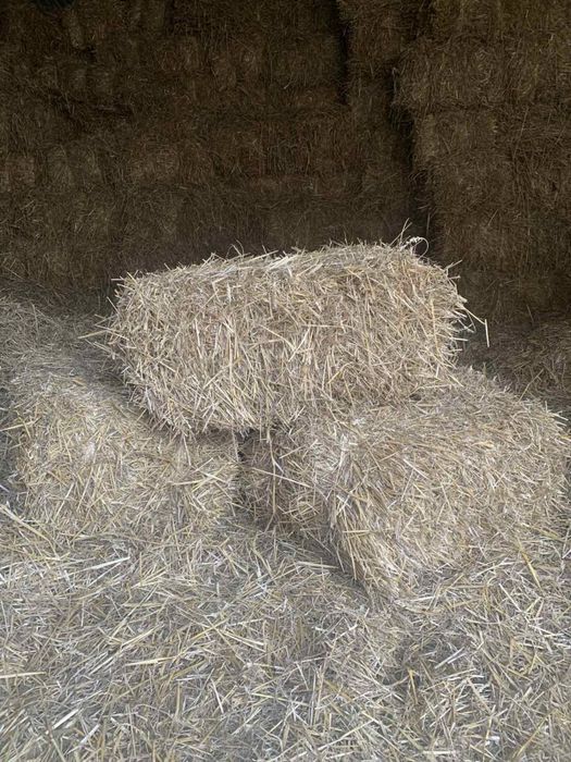 Продам тюки соломи