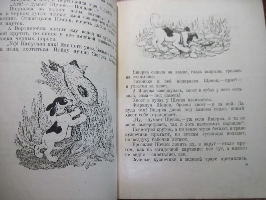 В. Бианки. Лесные были и небылицы. Рис.  Чарушин. Лениздат 1952 372 с.