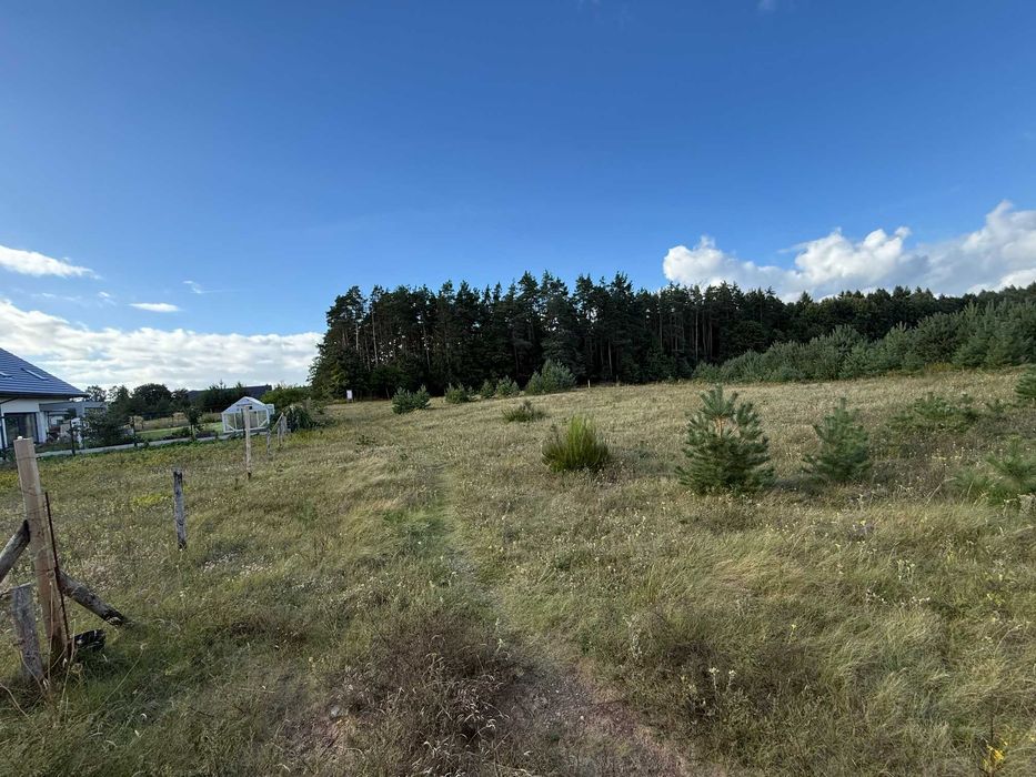 Działka budowlana Bojano 1849 m² - Widok 5
