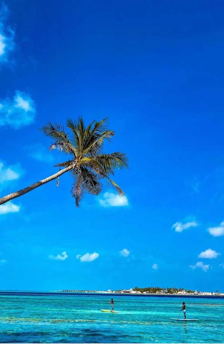 Продаж квартири, готель Radisson на Мальдівах з доходом 18% річних