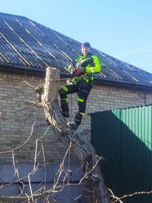 Видалення аварійних дерев,розпил дров,розчищення територій