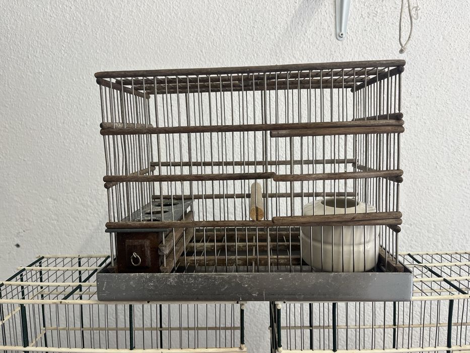 Gaiolas para passaros