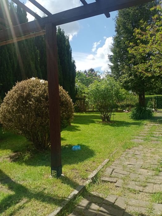 Działka ROD Gdynia Babie Doły 342m2