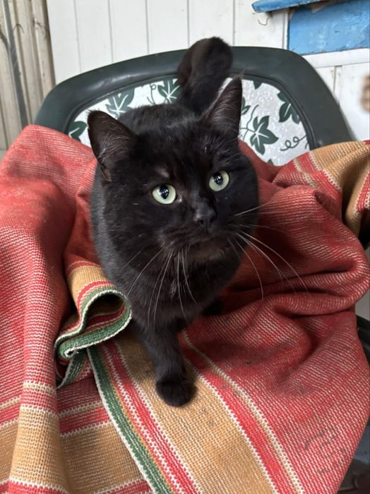 Містер Х обожнює обійми..