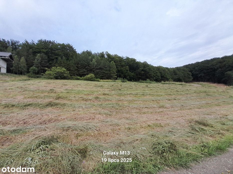 Działka budowlana wydane WZ - Widok 5