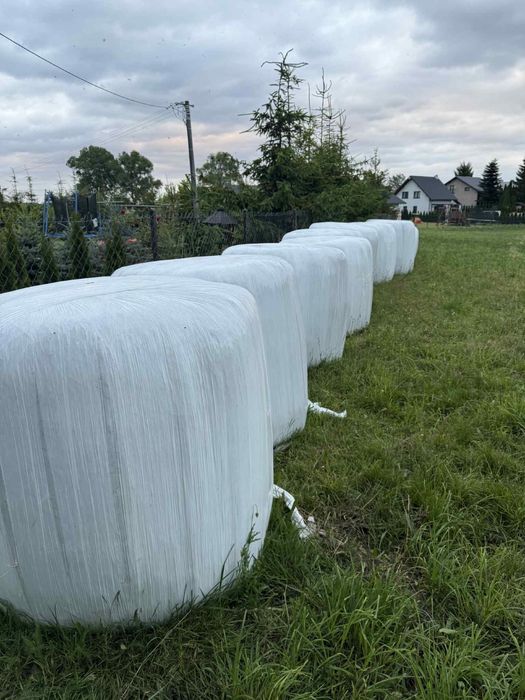 Baloty sianokiszonki