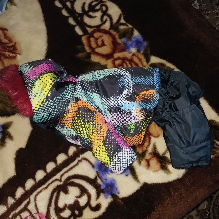 Зимовий комбінезон, одяг для собак