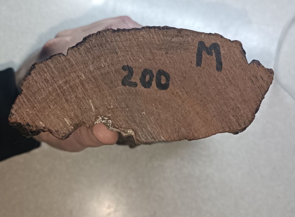 Коллекционный подарочный набор «Сафари»: Статуэтка + 5 стопок (ЮАР)