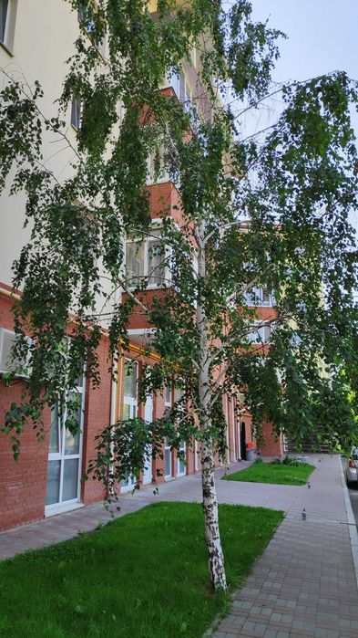 Вільна квартира. Центр села Хотів Теремки