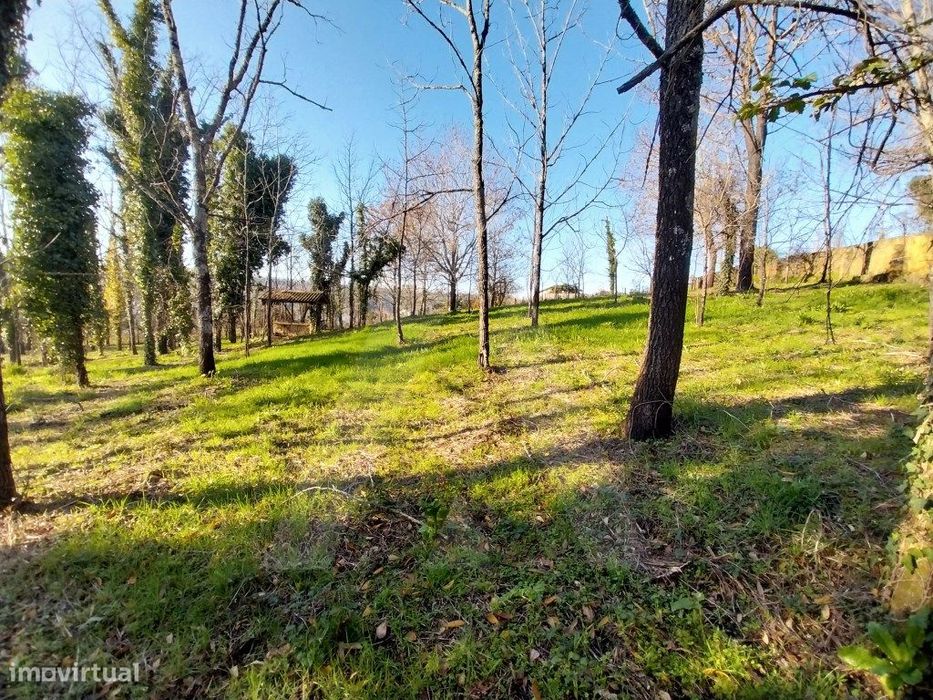 Terreno em Jafafe - Macinhata do Vouga