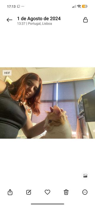 Dog walker e/ou pet sitting (não fico à noite mas posso ir alimentar, dar água ver se está tudo ok )