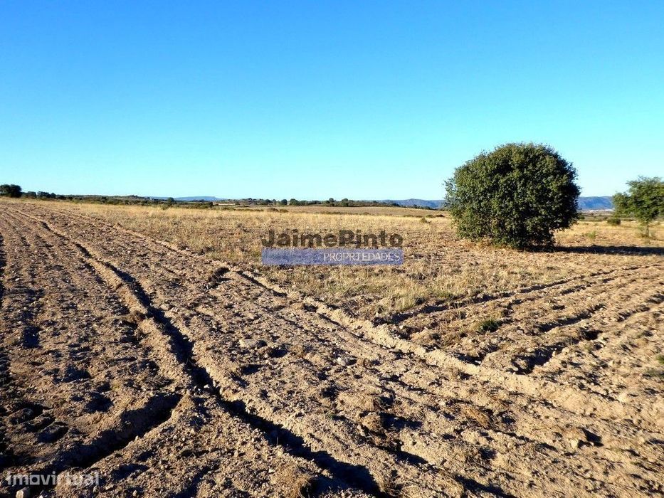 Propriedade plana, 17ha para plantações agrícolas. Portugal, Guarda...