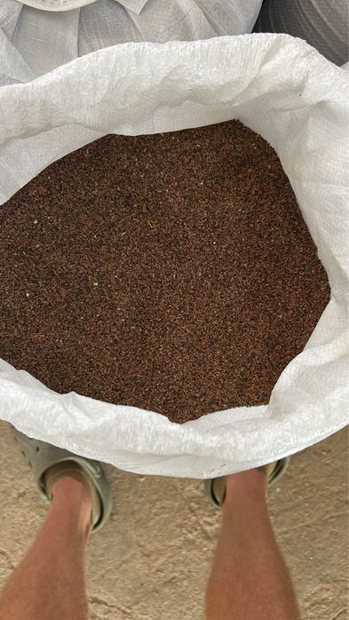 Facelia 4 kg - wysylka