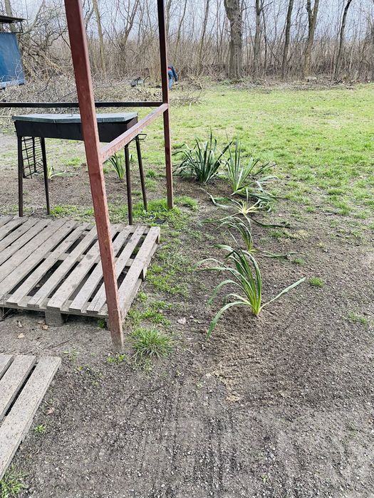 Баня з більярдом будинок дом