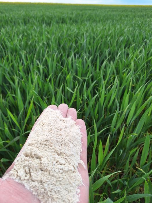 Wapno nawozowe z dostawą na Twoje pole !