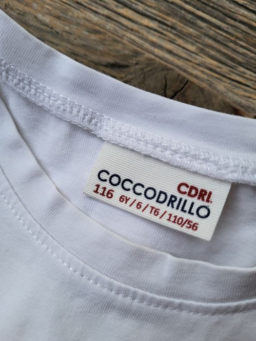 Coccodrillo T-shirt na lato rozm. 116
