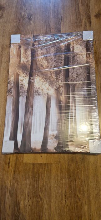 Obraz na płótnie 3 sztuki.Wysyłka kurierem In Post.