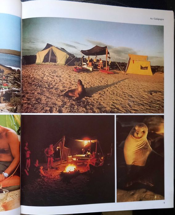 O Mundo Submarino de Jacques Costeau - vol 1 e 2 - portes incluídos