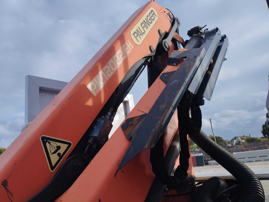 RENAULT 310dxi c/grua palfinger