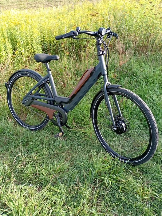 Rower wspomagany elektrycznie