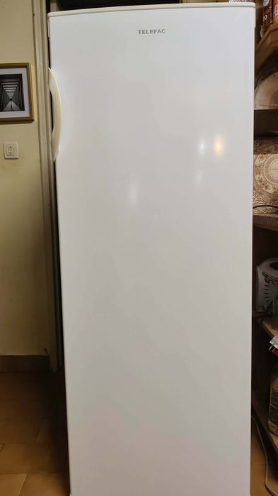 Arca congeladora vertical Telefac 160l
