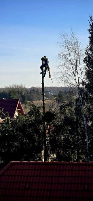 Wycinka i Pielęgnacja Drzew,Podnośnik,Rębak,Alpinistyka,Czyszczenie