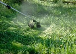 Покос травы , скос травы,  покос газонаспил деревыев демонтаж построек