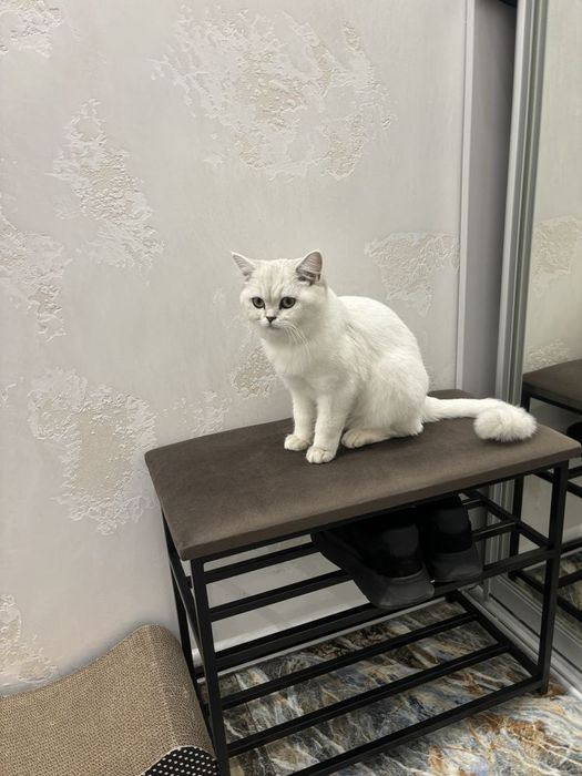 Банкетка для обуви 60см Loft