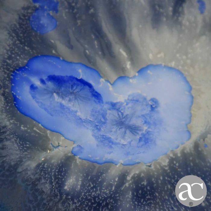 Prato modernista em porcelana Rosenthal