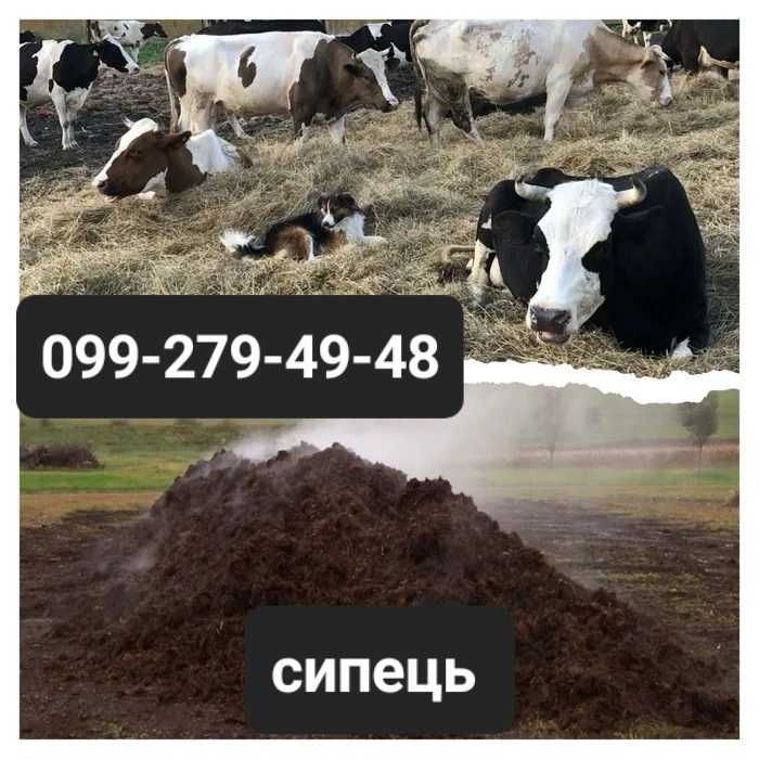 Торф перегній компост чорнозем  для огорода та саду