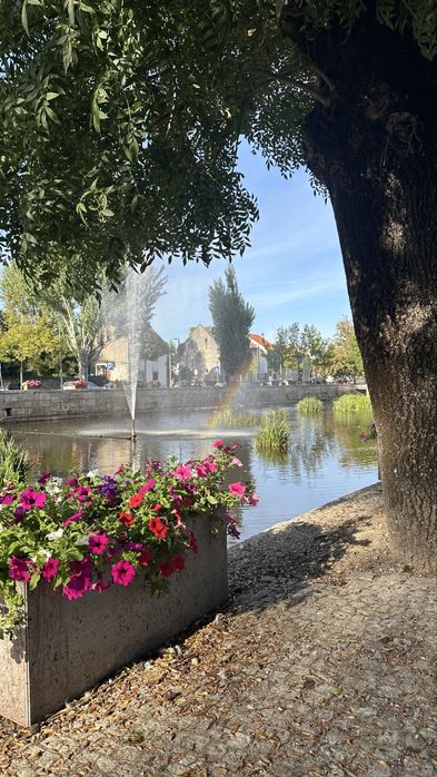 Quartos para arrendar no centro de Viseu