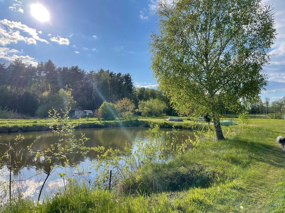 Prywatna oaza 2 ha ze stawem. Absolutny spokój, 5 min od autostrady. 30min od Poznania.