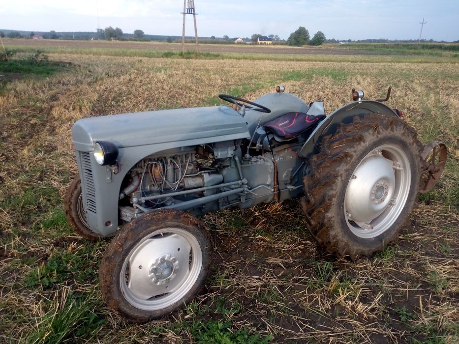 Ferguson tea 20 zarejestrowany. Sprzedam. Poddębice • OLX.pl