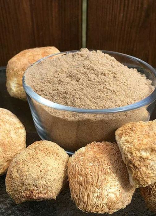 Ежовик гребенчатий. Геріций ( власне виробництво) 100грам -400грн