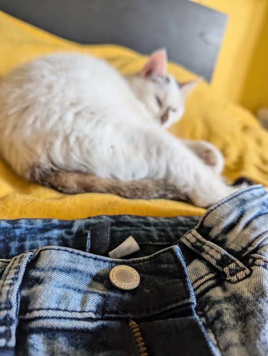 Męskie niebieskie joggery DIVIDED H&M rozmiar S 36