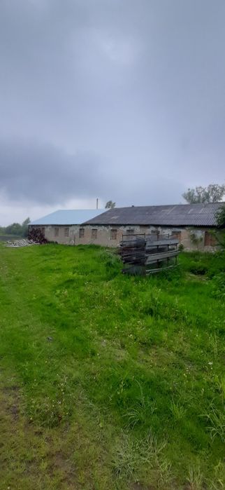 Продам ферму,корівник