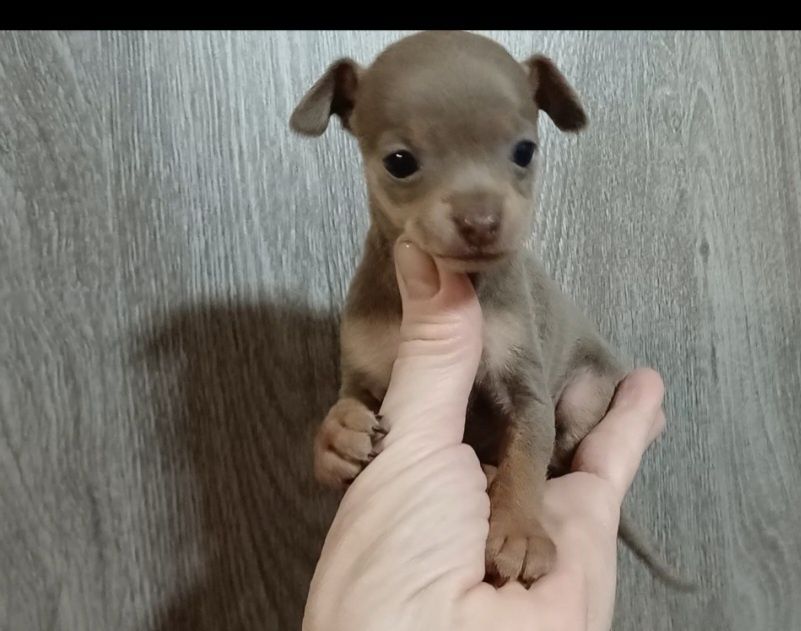 Супер мини девочка