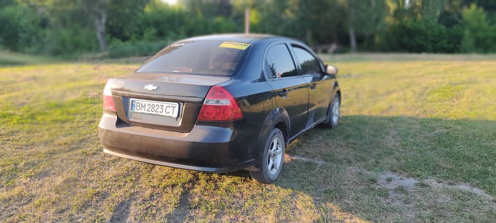 Шевроле Авео 2008 год