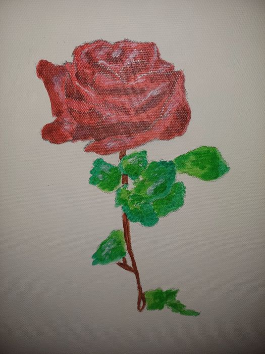 Pierwsza Róża "ROSE"