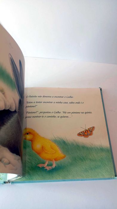 O patinho Perdido