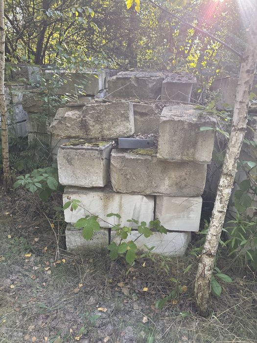 Pustaki  duza ilosc za darmo