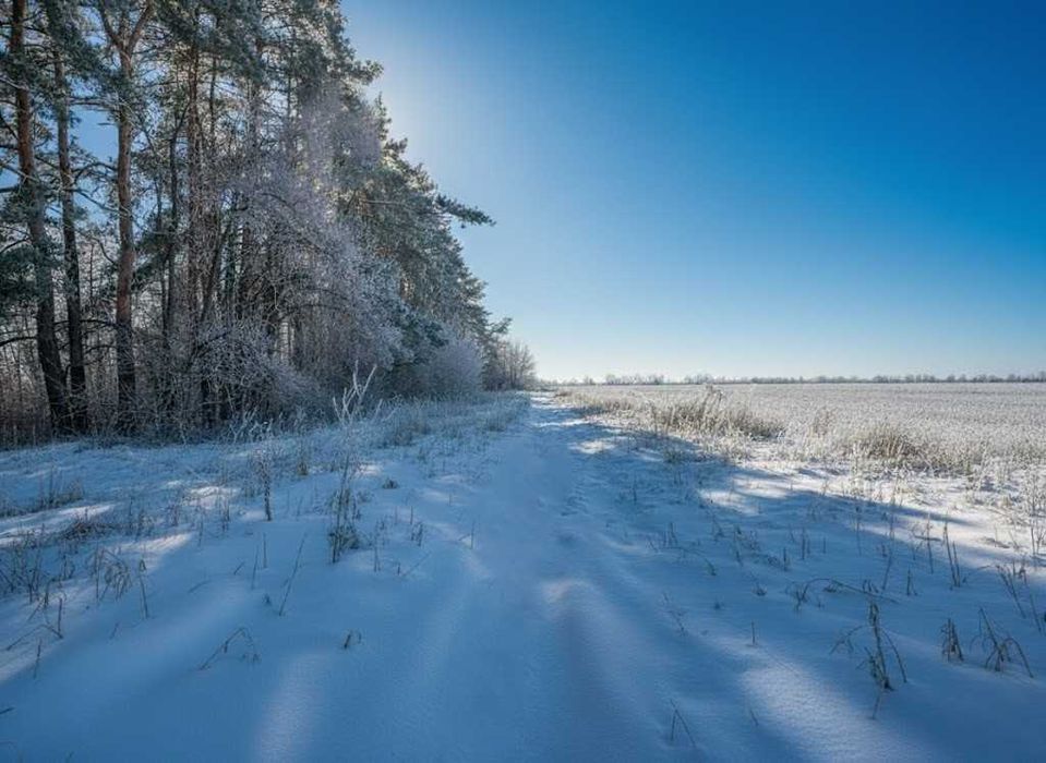 Продаж земельної ділянки 71 сотка - ОСГ. До траси - 100 метрів. ID:608