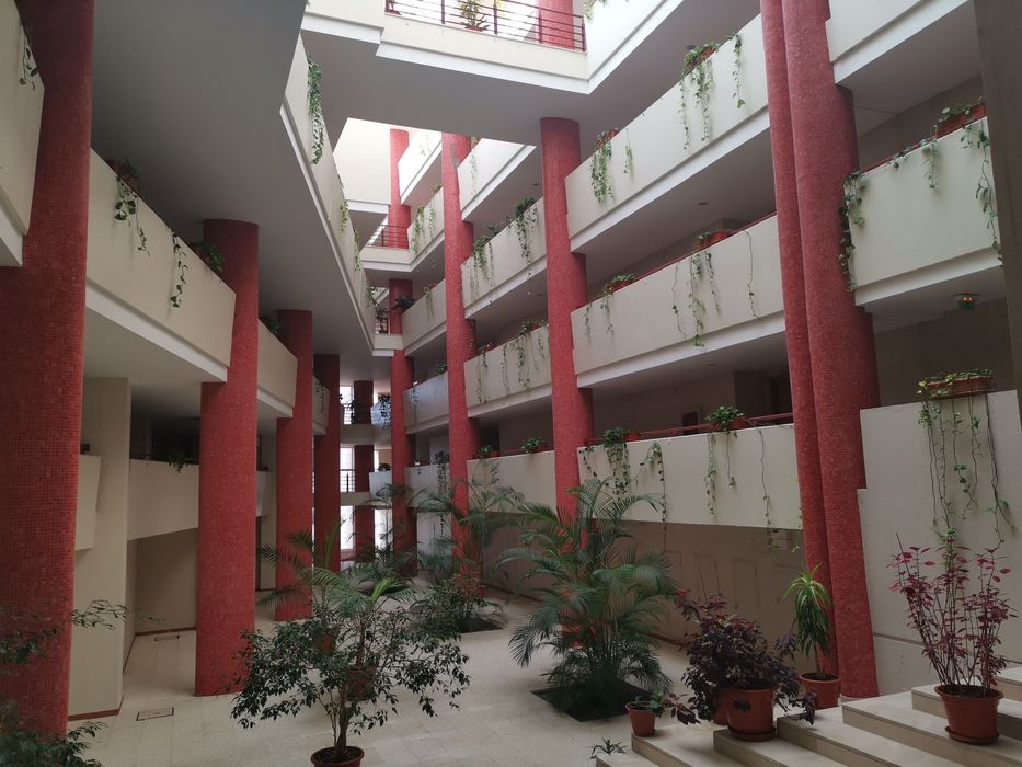 Apartamento T1 - Praia do Cabedelo - Viana do Castelo