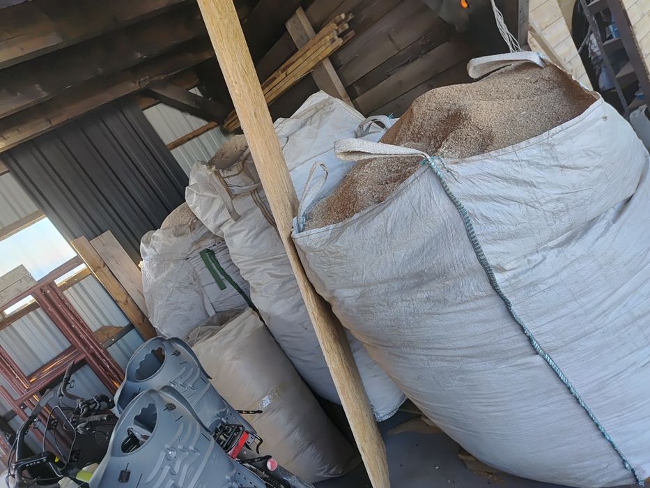 Trociny/wióry  debowe i jesionowe